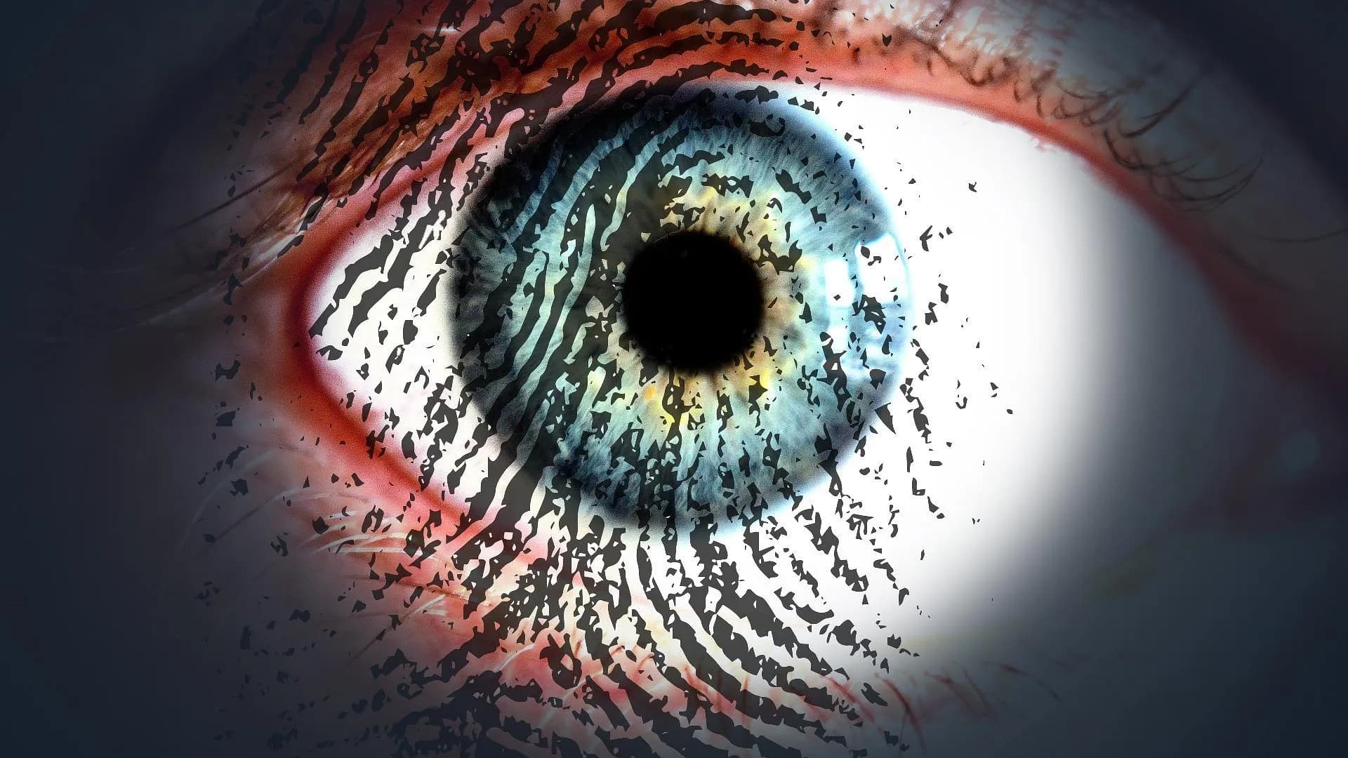 How to Identify AI-Generated Images and Deepfake Videos in India